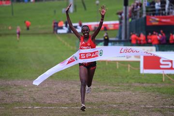 Yasemin Can wins the senior women's race at the European Cross Country Championships (Getty Images)