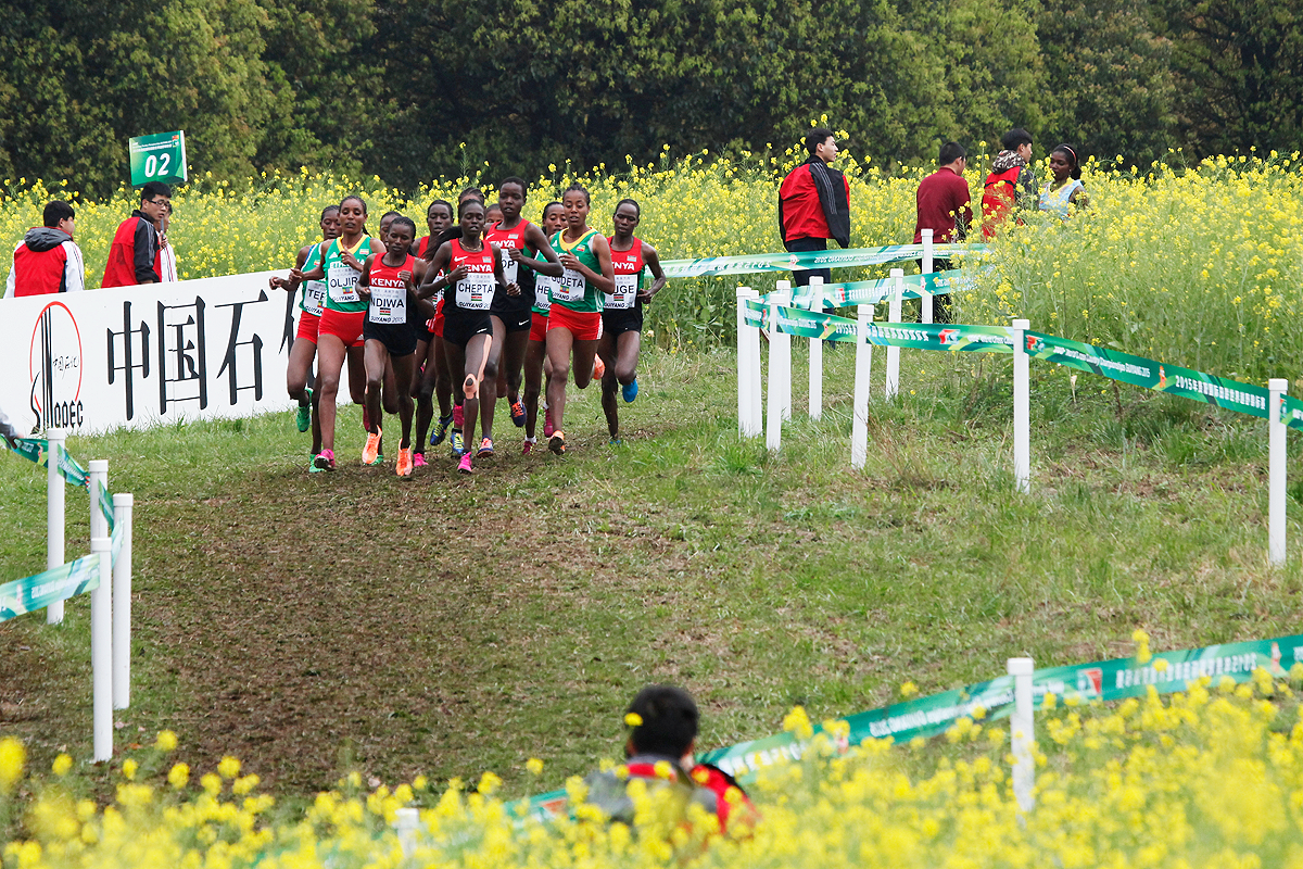 The senior women's race at the IAAF World Cross Country Championships Guiyang 2015 (Getty Images)
